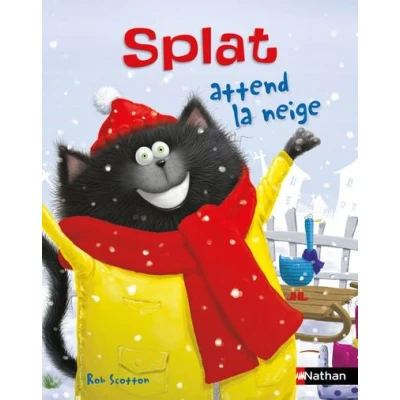 Image de Splat attend la neige