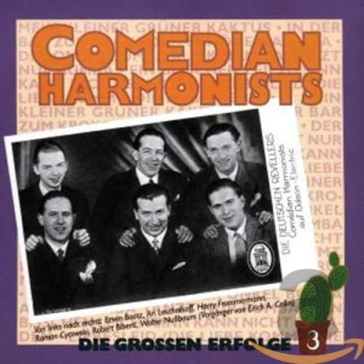 Afbeelding van Die Grossen Erfolge 3