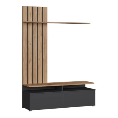 Afbeelding van Vicco Woonwand Harro, Goldkraft Eik/Grijs,