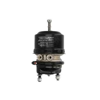 Afbeelding van DT Spare Parts 4.65572 Remcilindermembraan