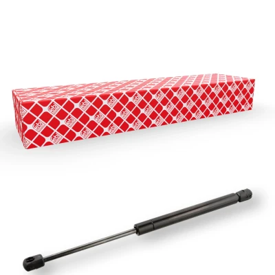 Afbeelding van Febi Bilstein Gasveer 104118