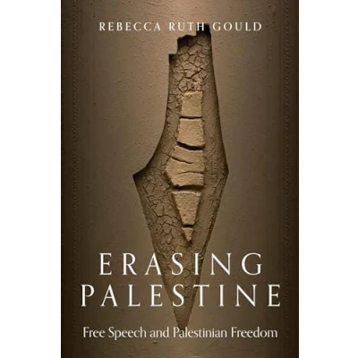 Afbeelding van Erasing Palestine