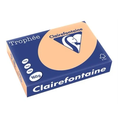 Image de Papier uni A4 Clairefontaine Trophée 250 feuilles 210 x 297 mm Abricot
