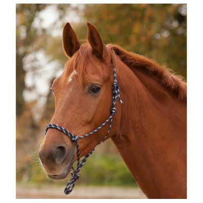 Afbeelding van Waldhausen Knoophalster Zwart&amp;Wit Paardenhalster Pony