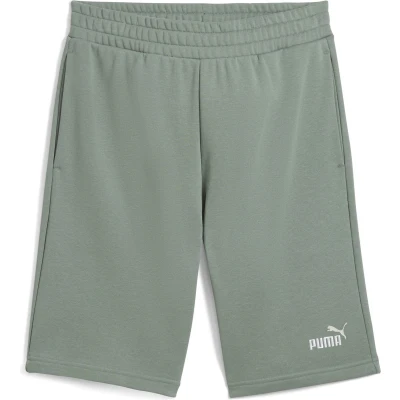 Afbeelding van PUMA ESS 2 COLOR No. 1 Logo Shorts 10&quot; TR Heren sportbroek Green Moon