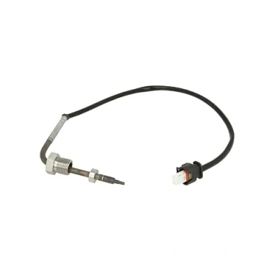 Afbeelding van DELPHI TS30050 Sensoren