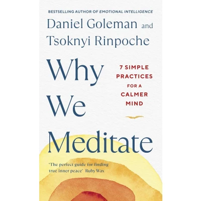 Afbeelding van Why We Meditate