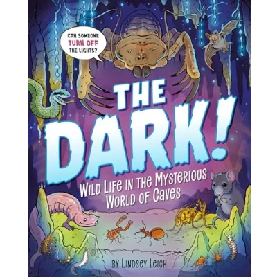 Afbeelding van The Dark!