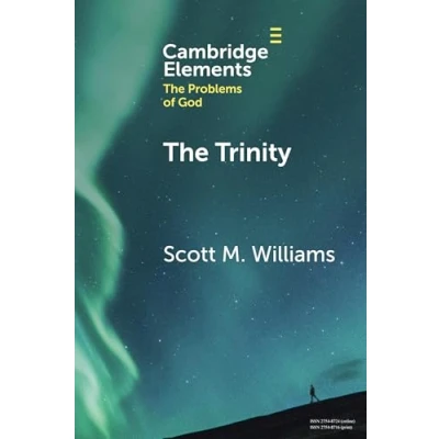Afbeelding van Elements in The Problems of God Trinity