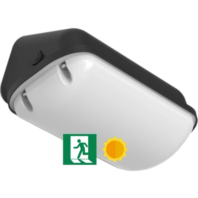 Afbeelding van Gevelarmatuur Deca Zwart Daglichtsensor en noodverlichting