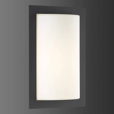 Afbeelding van Grafietkleurige buitenwandlamp Luis met LED verlichting