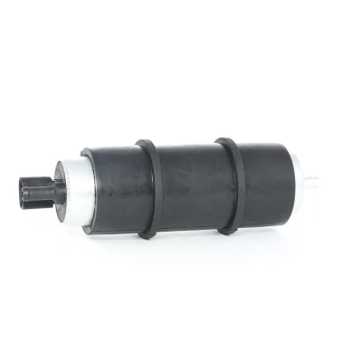 Afbeelding van Magneti Marelli Brandstofpomp 313011300084