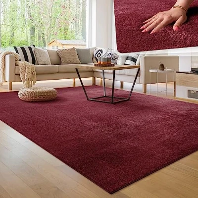Afbeelding van Paco Home Tapijt voor woonkamer Eenkleurig Wasbaar Zacht kortstondig pooltje 80x150 cm