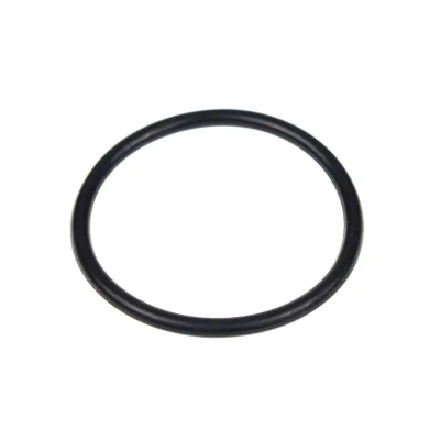 Image de Whirlpool Joint anneau aération 480140102392