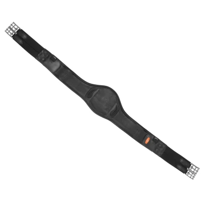 Image de SchockemöhleSangle Portland Noir/Argent 130cm