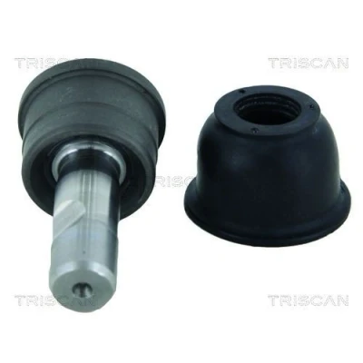 Afbeelding van Triscan Fuseekogel 8500 80104178