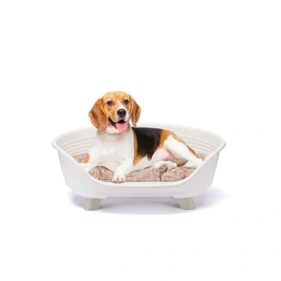 Afbeelding van Ferplast Verhoogd bed voor honden en katten met katoenen kussen, kunststof honden, wasbare mand ademende antislip mand, THRONE 70,5 x 52 cm