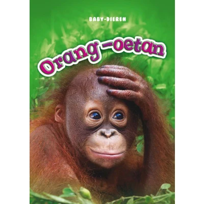 Afbeelding van Orang oetan