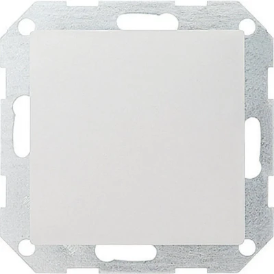 Afbeelding van Gira blindplaat zuiver wit glanzend 026803