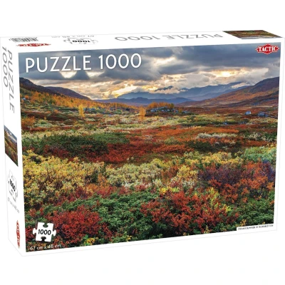 Afbeelding van Puzzel Around the World Northern Stars: Indian Summer in Norrbotten 1000 stukjes