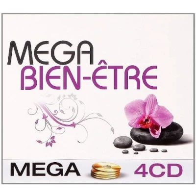 Afbeelding van Mega Bien Etre