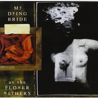 Afbeelding van As The Flower Withers