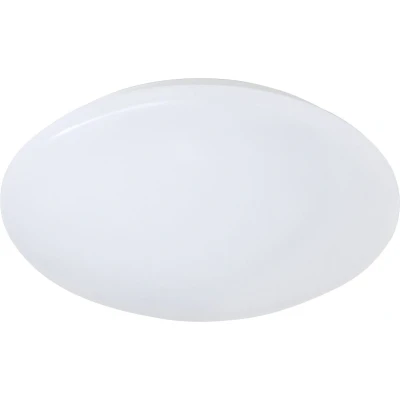 Afbeelding van REALITY PUTZ II Plafondlamp Wit incl. 1x SMD 12W D: 27cm IP44