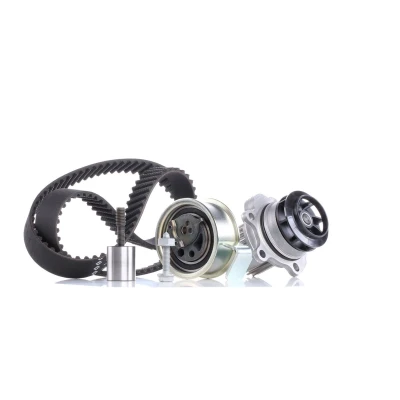 Afbeelding van Ina Distributieriem kit incl.waterpomp 530 0091 31