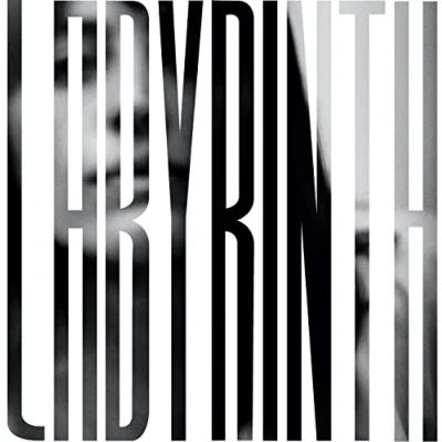 Afbeelding van Heather Woods Broderick Labyrinth (LP)