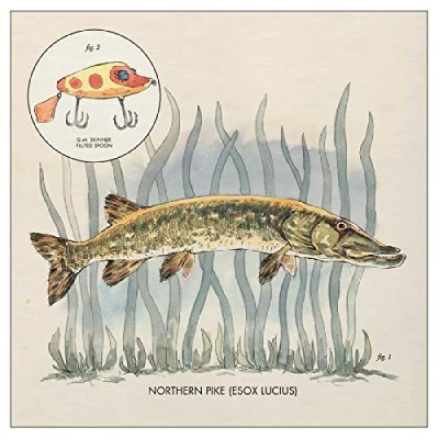 Afbeelding van Nick Lowe Lay It On Me