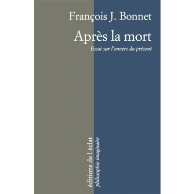 Image de Apres la mort essai sur l&#039;envers du present