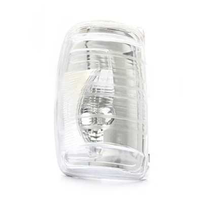 Afbeelding van BSG Knipperlicht 30 916 007