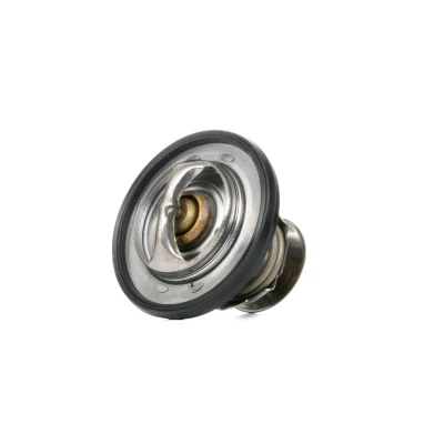 Afbeelding van MOTORAD 416 95K Thermostaat, koelvloeistof 95 63 Met pakking CHRYSLER: 300C Saloon, JEEP: GRAND CHEROKEE 4