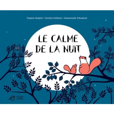 Afbeelding van Le calme de la nuit