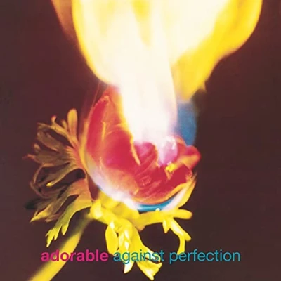 Afbeelding van Adorable Against Perfection