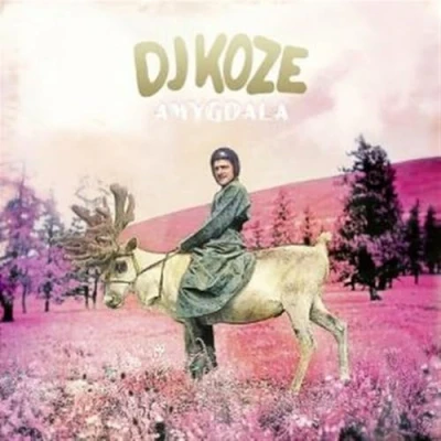 Afbeelding van DJ Koze Amygdala (2 LPs)