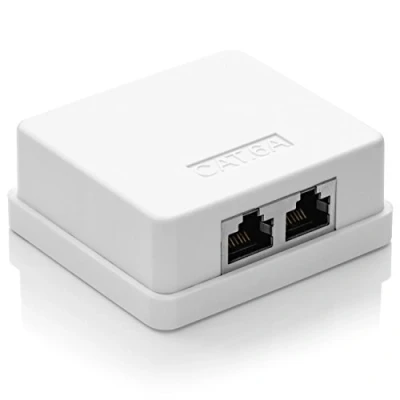 Afbeelding van deleyCON 1 x CAT6A netwerkaansluiting 2 RJ45 FTP afgeschermde wandmontage Ethernet 10 Gbit LAN installatiekabel Wit