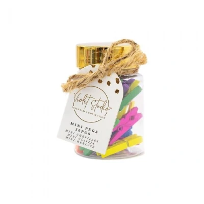Afbeelding van Violet Studio Mini Pegs Jar Brights 30pcs