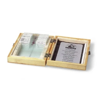Afbeelding van Konus Preparaten Set Bacterie�n, Simpele Organismen (10 Stuks)