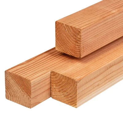 Afbeelding van Paal douglas 11,0x11,0x400 cm Tuindeco
