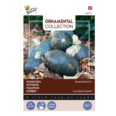 Afbeelding van Ornamental Pompoen Sweet Mama F1 Buzzy