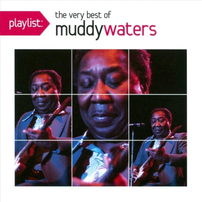 Afbeelding van Waters Muddy Playlist: Very Best (Usa)