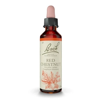 Afbeelding van Red chestnut / rode kastanje
