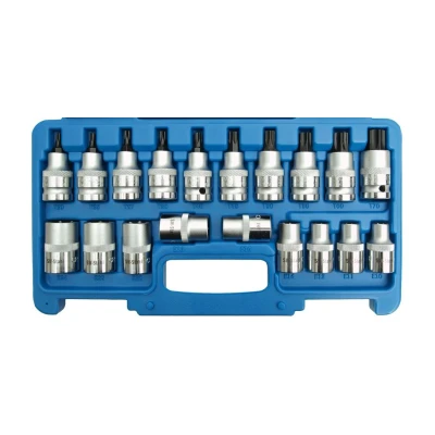Afbeelding van SW Stahl 04180L Doppenset 19 Binnen zeszijdig Chroom vanadium staal 1/2