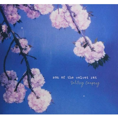 Afbeelding van Son Of The Velvet Rat Solitary Company (CD)