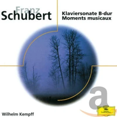 Afbeelding van Piano Sonata D960