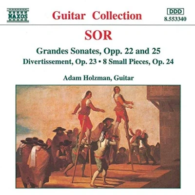 Afbeelding van Adam Holzman Grandes Sonates (CD)
