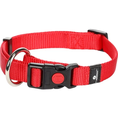Afbeelding van Hond Halsband Ziggi Rood M 40 55cm 20mm