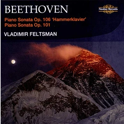 Afbeelding van Vladimir Feltsman Beethoven: Piano Sonatas Op. 106 &amp; (CD)