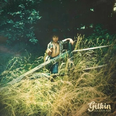 Afbeelding van Gitkin Golden Age (LP)